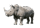 demo-attachment-757-rhinoceros-PX4THQT